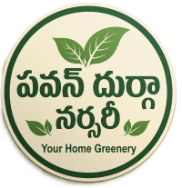 Pavan Durga Nursery