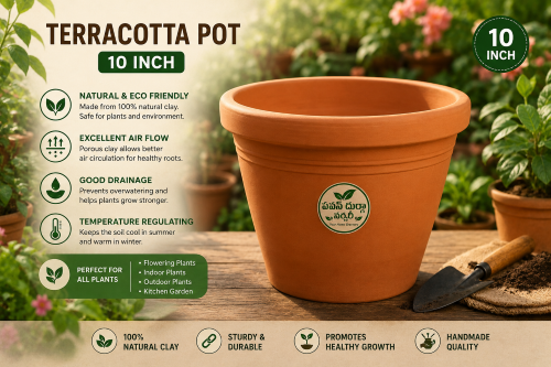 Terracotta Pot – 10 inch