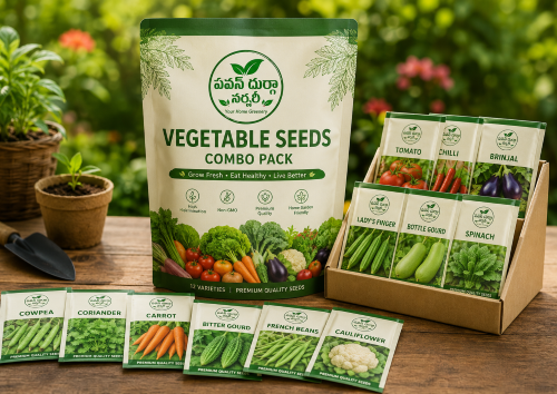 Vegetable Seeds Combo Pack